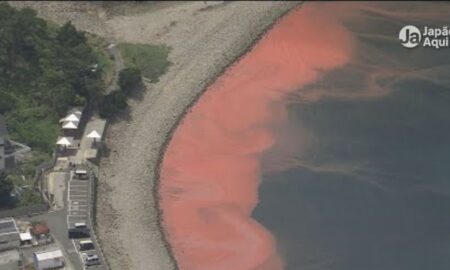 Shizuoka: mar vermelho assusta moradores