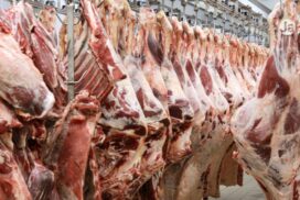 Carne brasileira preocupa produtores