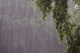 Tufão e chuva extrema colocam Japão em alerta