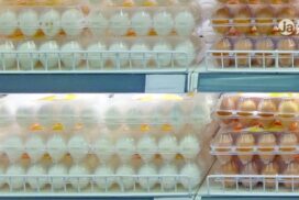 Alta dos ovos e do frango pesa no bolso dos consumidores
