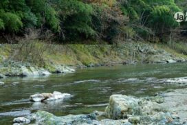 Brasileiros aparecem entre principais vítimas nos rios de Gifu