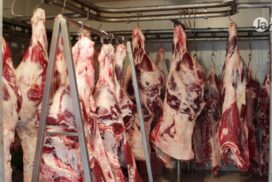 Acordo com Mercosul gera resistência