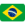 flag_br